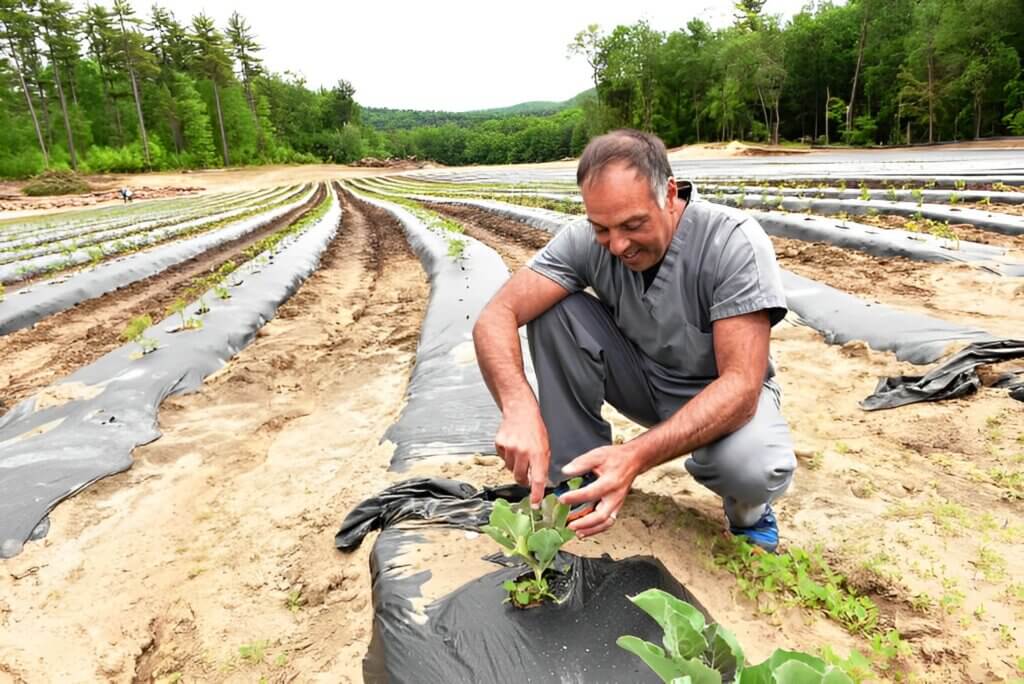 Dr. James Arcoleo planting a brassica